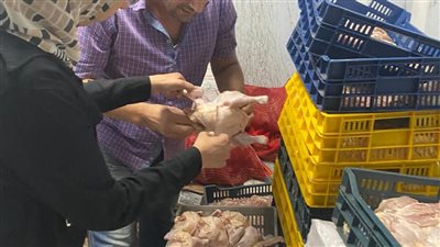 ضبط ٤٥٧ كجم دواجن غير صالحه للاستهلاك الادمي بالغربية