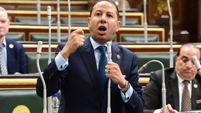 برلماني: الرئيس السيسي حمل المجتمع الدولي مسؤوليته إزاء المعاناة الإنسانية التي يعيشها الشعب الفلسطيني