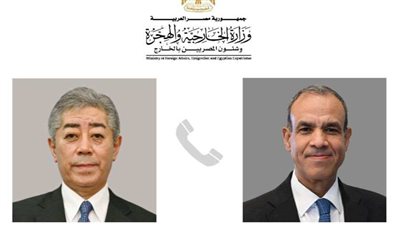وزير الخارجية: نتطلع لاستمرار تدفق الاستثمارات اليابانية إلى مصر