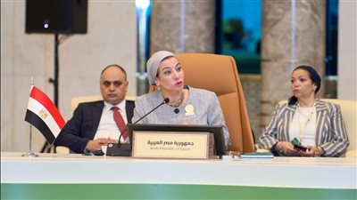 فؤاد: مبادرة الشرق الأوسط الأخضر منصة بيئية مشتركة تعزز التعاون 