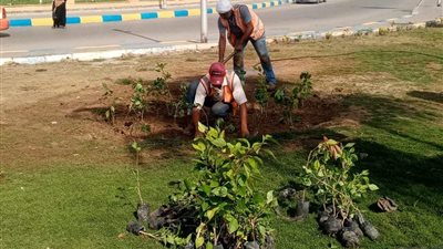 جهاز التطوير والتجميل بالإسماعيلية يواصل أعمال رفع كفاءة المسطحات والميادين