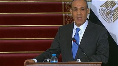 وزير الخارجية: العلاقات بين مصر وبوليفيا متميزة 