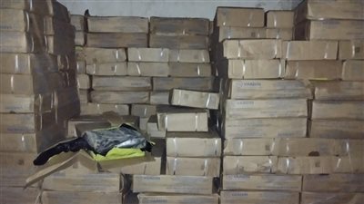 سلامة الغذاء بالغربية: ضبط 20 طن أسماك مجمدة منتهية الصلاحية