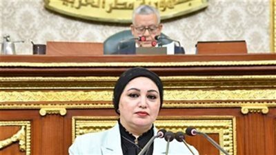 القوى العاملة بالنواب: كلمة الرئيس السيسي في الندوة التثقيفية أكدت قدرة مصر