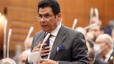 النائب محمد الصالحى يطالب بإصدار قرار عاجل بحظر استيراد السلع غير الضرورية والاستفزازية