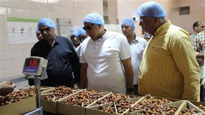 محافظ الوادي الجديد يتفقّد أعمال تطوير النادي الاجتماعي ومجمع التمور