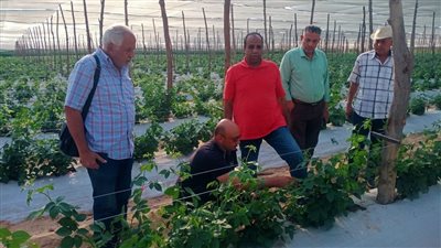 رئيس شؤون المديريات يتابع في النوبارية كارت الفلاح وضبط منظومة الأسمدة والاستعداد  للموسم الشتوي