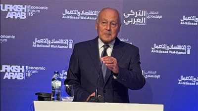  أبو الغيط يدعو إلى تعزيز التعاون الاقتصادي بين العرب وتركيا