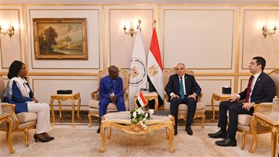 وزير الري يلتقي المدير التنفيذي للجنة الوطنية للمياه بدولة ليبيريا