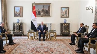 وزير الخارجية الإيراني: نقدر الجهود المصرية المستمرة لتحقيق الاستقرار والأمن بالمنطقة