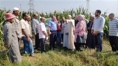 معهد بحوث الأراضي والمياه والبيئة ينفذ حقلًا إرشاديًا بالوادي والدلتا