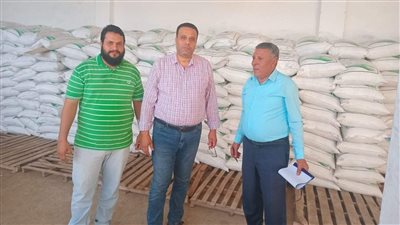 وصول 35 طن من تقاوي الشعير المدعمة لمحافظة مطروح 