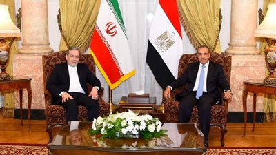 وزير الخارجية والهجرة يلتقي نظيره الإيراني