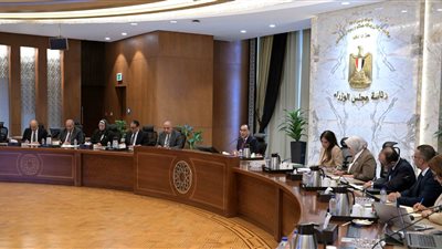 مدبولي يتابع تنفيذ مشروع الربط الكهربائي المصري - السعودي