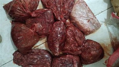 ضبط كبده ولحوم مفرومة فاسدة بمحل كشري في الفيوم 