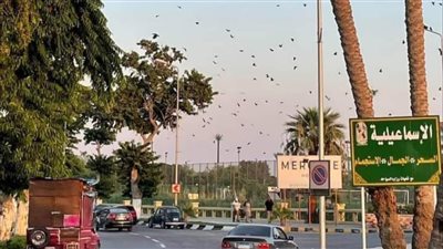 اجتماع طارئ لتحديد تعريفة الركوب الجديدة بالإسماعيلية 