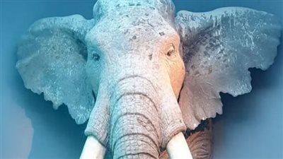 العثور على جمجمة عملاقة تكشف أسرار الأفيال المنقرضة 