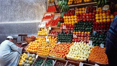 نقيب الفلاحين: ارتفاع أسعار المحروقات يزيد الأعباء ويساهم في ارتفاع أسعار المنتجات الزراعية 