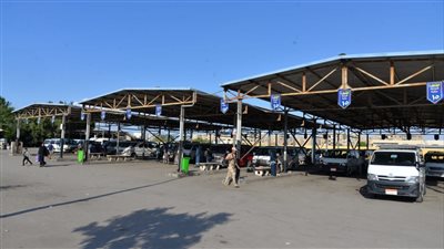 المواصلات تلتهم 30 % من الدخل الأسري بالأسماعيلية 