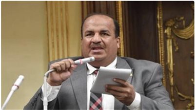 اقتصادية النواب: مشاركة الرئيس السيسي بقمة البريكس تحقق مكاسب كبيرة 