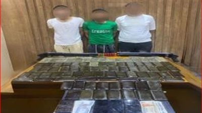 سقوط 3 عناصر بحوزتهم مخدرات وسلاح في كفر الشيخ 