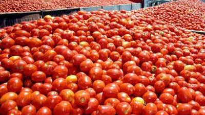 إرتفاع أسعارالخضروات والفاكهة بأسواق البحيرة بعد زيادة الوقود