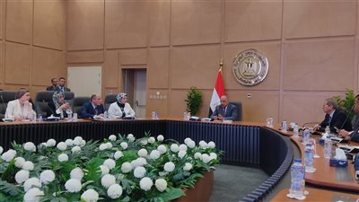 وزير الكهرباء: فيديوهات سرقات التيار الكهربائي 