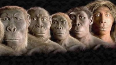 هل أكل السمك يوم السبت مكروه؟