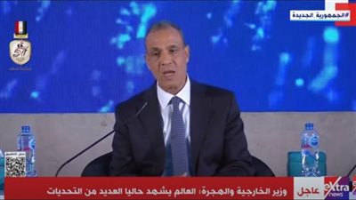 وزير الخارجية: العمل الدبلوماسي 