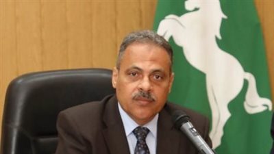 ضبط 4.5 طن مواد غذائية و2817 لتر مواد بترولية بمخزن في الشرقية