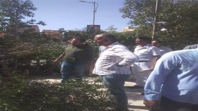 مذبحة للأشجار في مدينة بدر .. استغاثة من الأهالي لوزير الإسكان (صور)