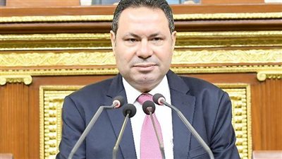 نقص الأسمدة ومستلزمات الإنتاج.. زراعة النواب توافق على خطة عملها بدور الانعقاد الخامس 