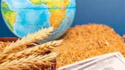 استثمارات ضخمة تعزز مكانة مصر كقوة زراعية عالمية