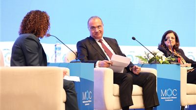 الشركات الأجنبية تشيد بجهود مصر لتأمين إمدادات الطاقة في المنطقة