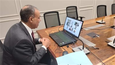 وزير الخارجية والهجرة يعقد لقاء افتراضيًا مع أعضاء الجالية المصرية بالرياض