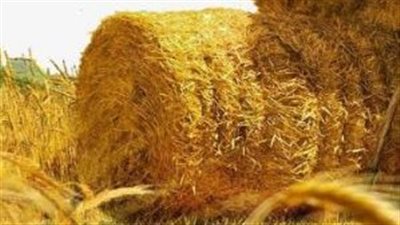 1.5 مليون طن ..