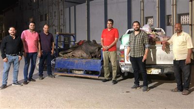 ضبط طن لحوم فاسدة وغير صالحة للاستهلاك بالفيوم 