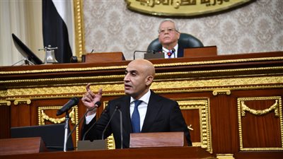 برلمانية تشيد ببيان وزير التعليم أمام النواب: ينفذ دراسة محكمة على مستوى الجمهورية 