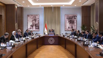 مدبولى يتابع ملفات عمل التعليم العالي 