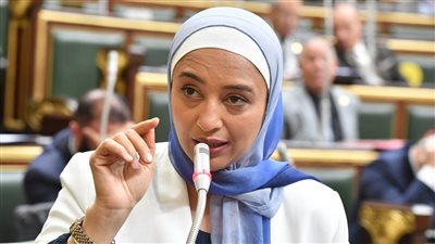 أميرة أبوشقة ترفض قانون الميناء الجاف بالعاشر من رمضان