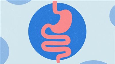 3 نصائح لا غنى عنها للحفاظ على صحة الأمعاء 