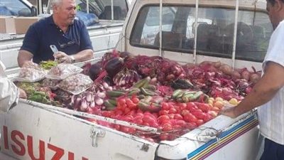  حصيلة مزاد بيع وإيجار مساحات للإصلاح الزراعي في 6 محافظات