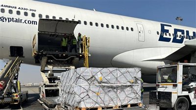 مصر للطيران تُسير رحلة جوية استثنائية لعودة( 298) مواطنًا من المقيمين بلبنان