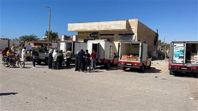 التموين: 8 سيارات متنقلة محملة بالسلع الأساسية واللحوم والدواجن المجمدة بجنوب سيناء