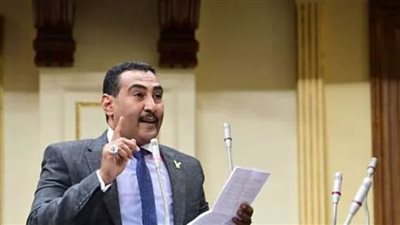 نائب: المبادرة المصرية لوقف إطلاق النار تعكس رغبة مصر في حماية القضية الفلسطينية 