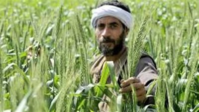 أهمية إطلاق مبادرة 