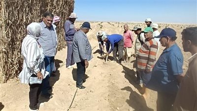 خبراء مركز بحوث الصحراء يواصلون دعم المزارعين في سيناء بخدمات إرشادية متكاملة