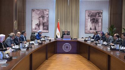 رئيس الوزراء يستعرض موقف إعلان 