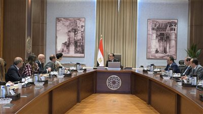 رئيس الوزراء: الوضع الحالي يشير إلى استقرار المؤشرات الكلية للاقتصاد المصري
