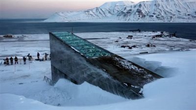 بذور فلسطين على 